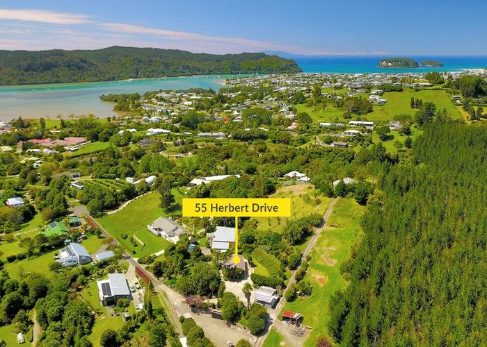  at 55 Herbert Drive, Whangamata