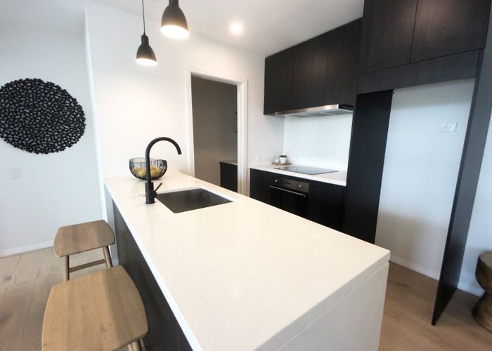  at 103/8 Kingsland Terrace, Kingsland, Auckland City, Auckland
