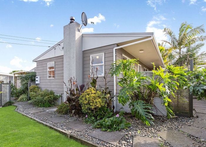  at 107 Ireland Road, Mount Wellington, Auckland City, Auckland