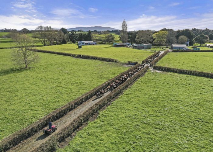  at 1/2528 Cambridge Road, Te Awamutu, Te Awamutu