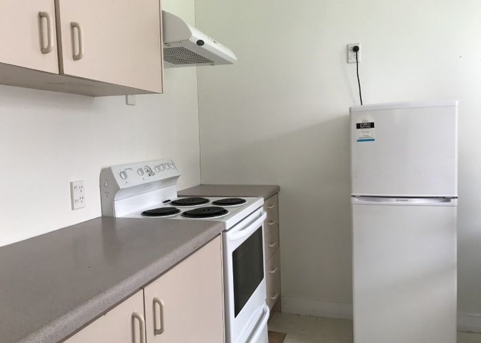  at 23 David Street, Caversham, Dunedin, Otago