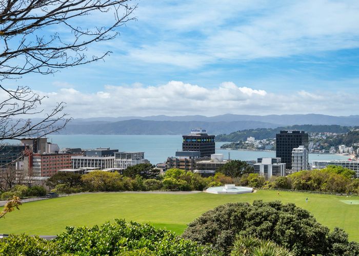  at 19 Rawhiti Terrace, Kelburn, Wellington, Wellington