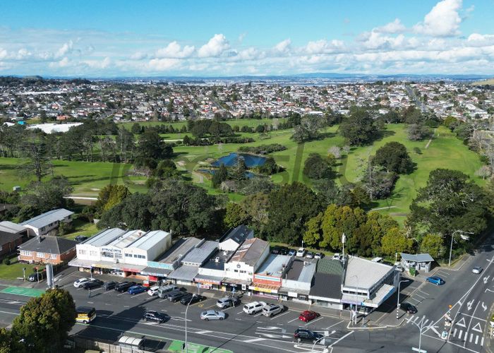  at 1215 Dominion Road, Mount Roskill, Auckland City, Auckland