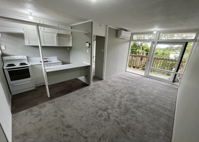  at 17/34 View Road, Mount Eden, Auckland City, Auckland