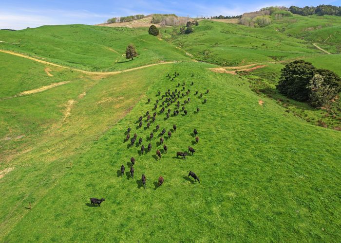  at 895 Wairamarama-Onewhero Road, Meremere, Waikato, Waikato