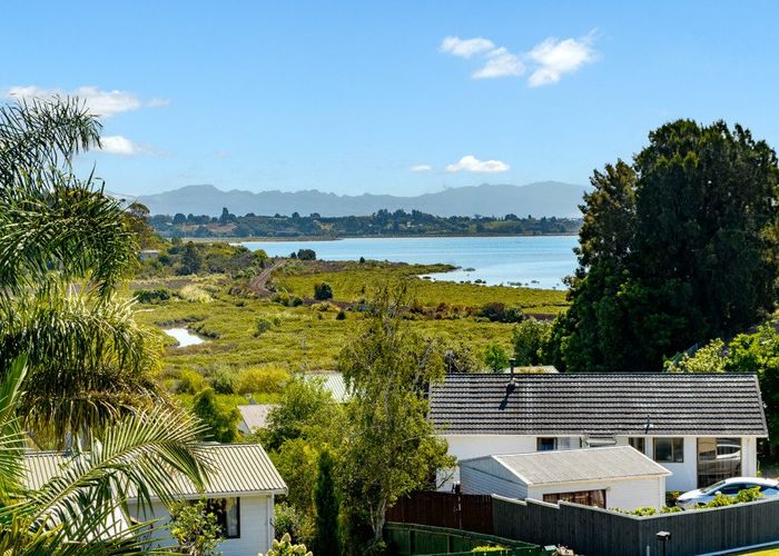  at 6 Westwood Street, Bellevue, Tauranga, Bay Of Plenty