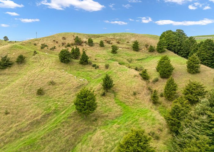 at 0 Hayward Road, Maungakaramea, Whangarei, Northland