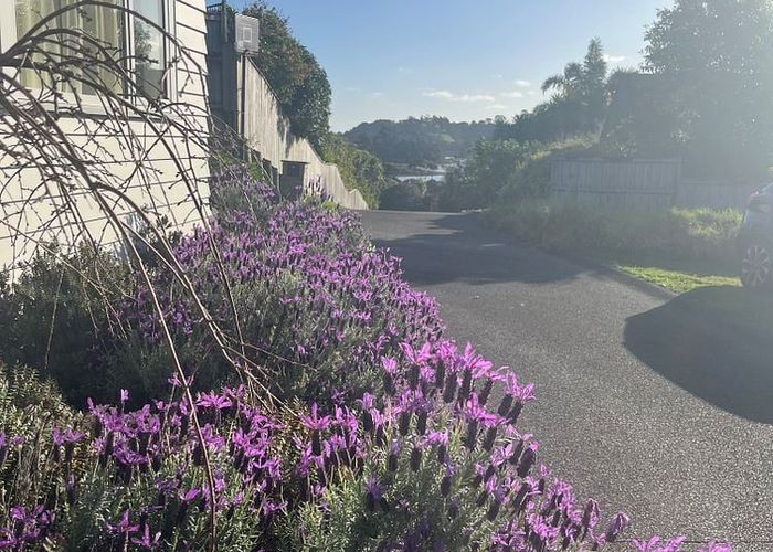 at 9A Kerema Way, Schnapper Rock, North Shore City, Auckland