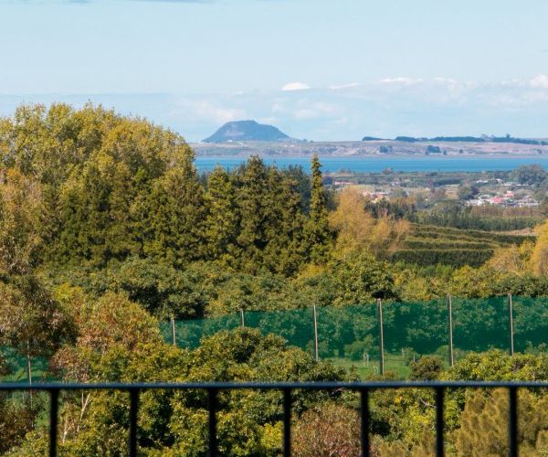  at 203 Woodland Road, Tahawai, Katikati