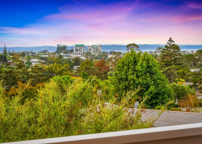  at 56 Paewai Road, Glen Eden, Waitakere City, Auckland