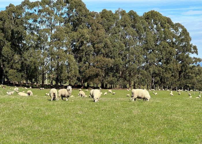  at 856 Allanton-Waihola Road, Allanton, Dunedin, Otago