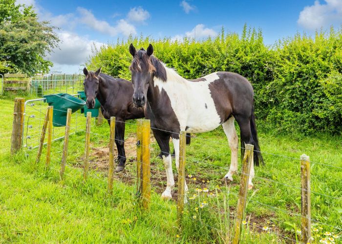  at 29 Wharepuhunga Road, Otorohanga, Otorohanga, Waikato