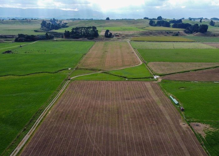  at 399 Cowper Road, Dannevirke, Tararua, Manawatu / Whanganui