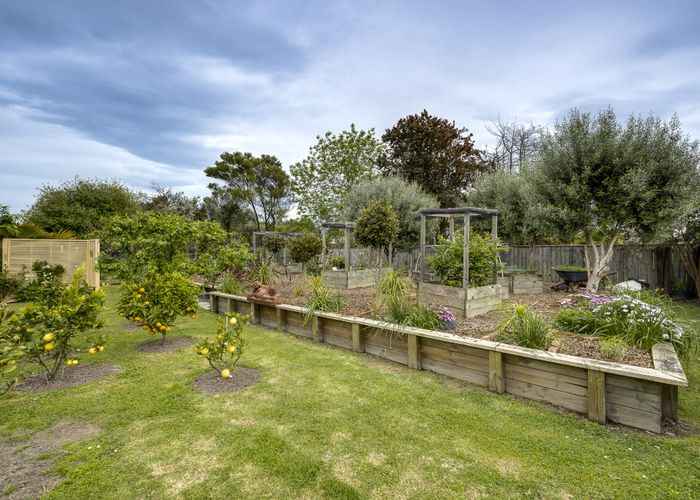  at 31 Napier Street, Jervoistown, Napier, Hawke's Bay