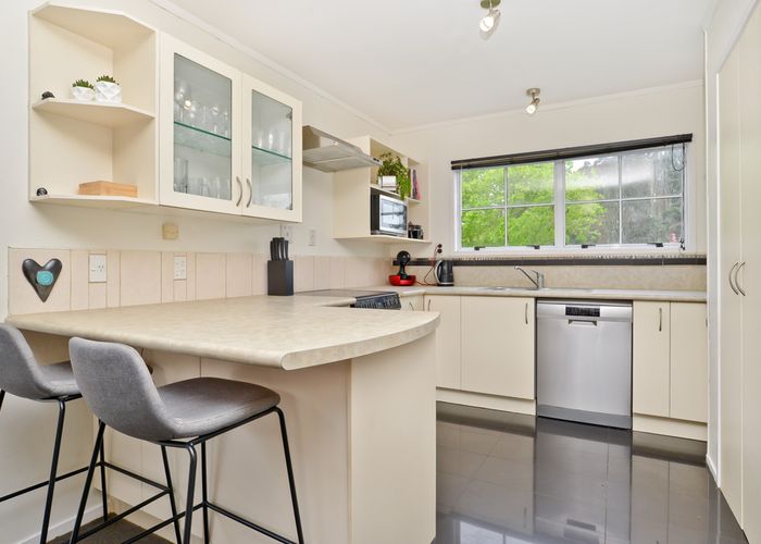  at 48 Pelorus Street, Glenview, Hamilton