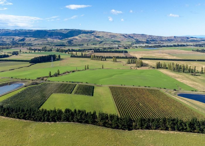  at 337 Mackenzies Road, Waipara, Hurunui, Canterbury