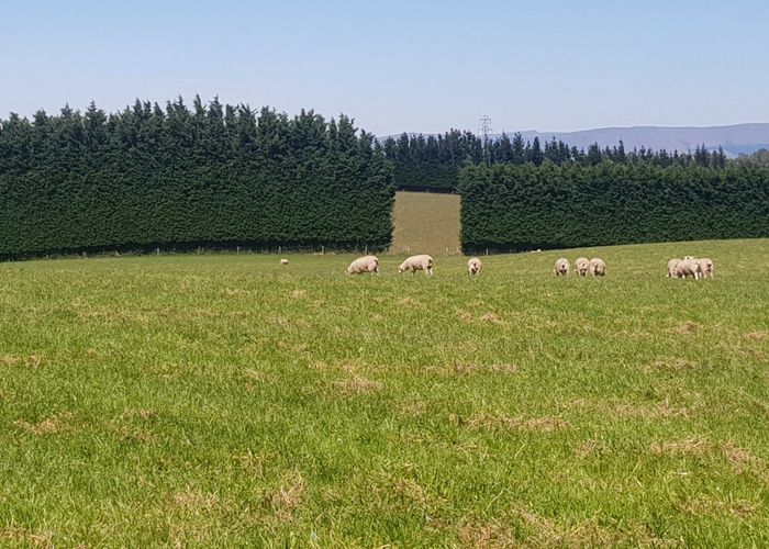  at 1042 Hillend Road, Hillend, Balclutha