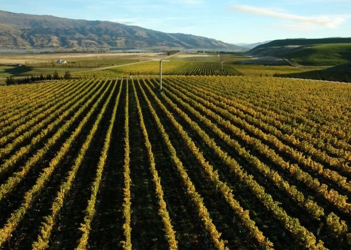 at 370 Bendigo Loop Road, Cromwell, Central Otago, Otago