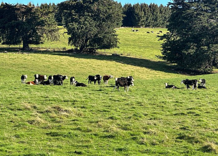  at 2 McLaggan Road, Gore, Gore, Southland