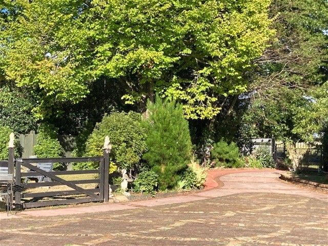  at 6 Campbell Street, Waihou