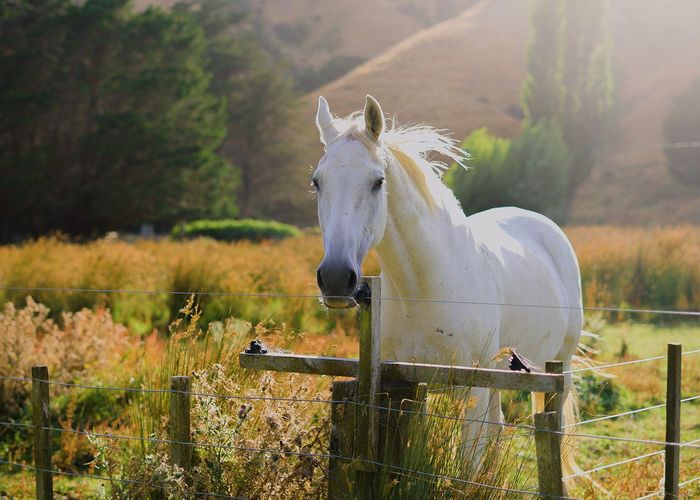  at 2/Lot 2 / 269 Grays Road, Pauatahanui, Porirua, Wellington
