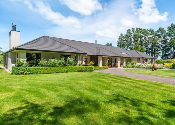 at 41 Andrew Street, Kuripuni, Masterton