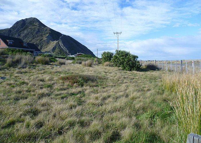 at 1 Mangatoetoe Grove, Cape Palliser