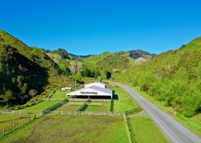 For sale 1719 Ohura Road, Te Kuiti, Waitomo, Waikato homes.co.nz
