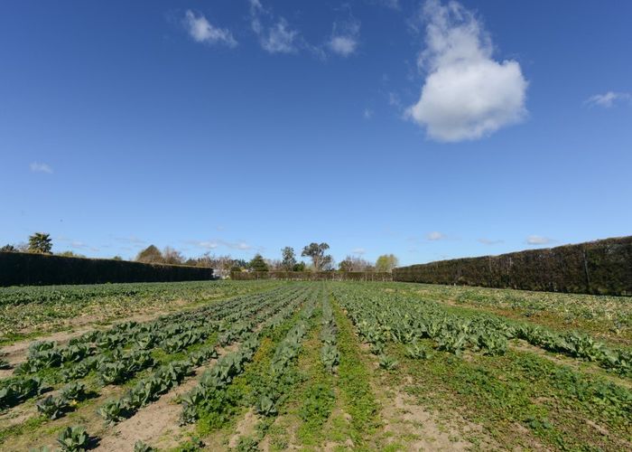  at 272 Meeanee Road, Meeanee, Napier