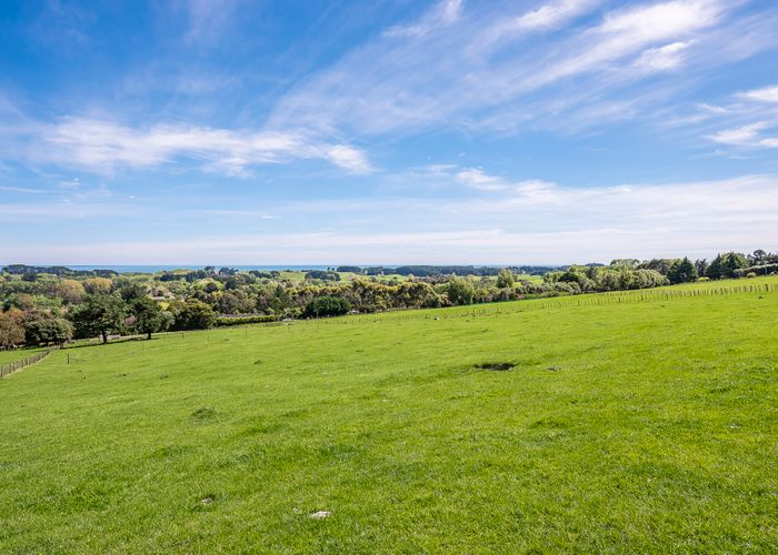  at 39 Octavius Road, Peka Peka