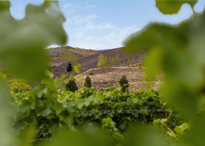  at Cairnmuir Road, Cromwell, Central Otago, Otago