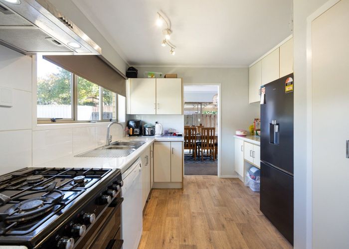  at 66 Hazelwood Avenue, Dinsdale, Hamilton, Waikato