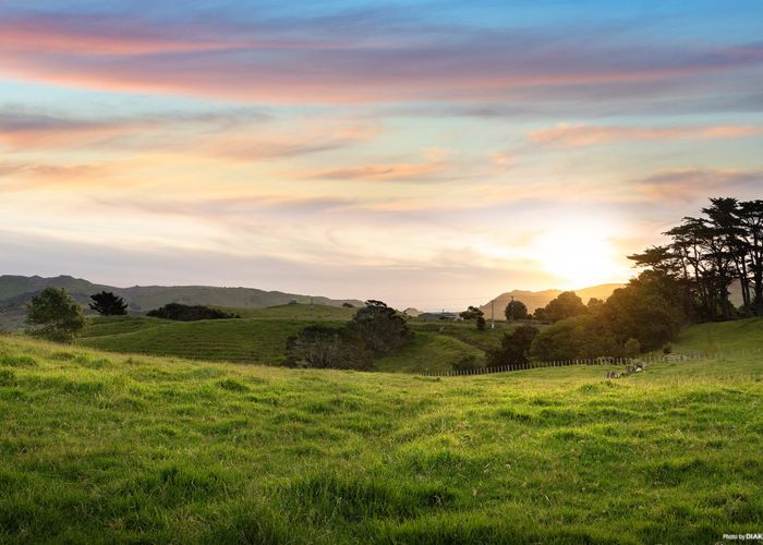  at 17 Kirian Lane, Waiuku, Franklin, Auckland