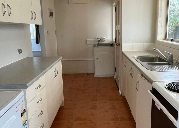  at 17 Skinner Road, Mount Wellington, Auckland City, Auckland