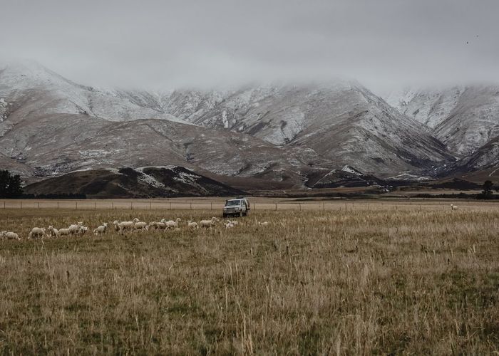  at 46 McCready Road, Kyeburn, Central Otago, Otago