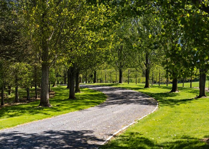  at Mount Algidus Station, Lake Coleridge, Selwyn, Canterbury