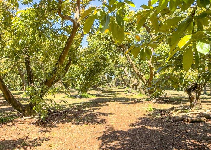  at 25 Orua Lane, Whenuakite, Thames-Coromandel, Waikato