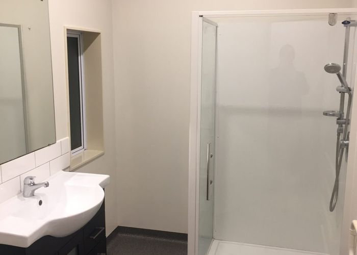  at 164 The Ridgeway, Mornington, Wellington, Wellington