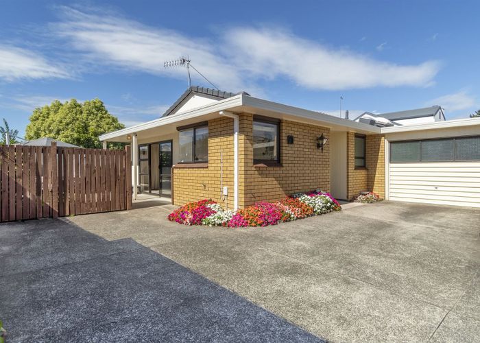  at 3/478 Devonport Road, Tauranga South, Tauranga