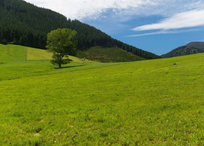  at 212 Ronga Road, Rai Valley, Marlborough, Marlborough