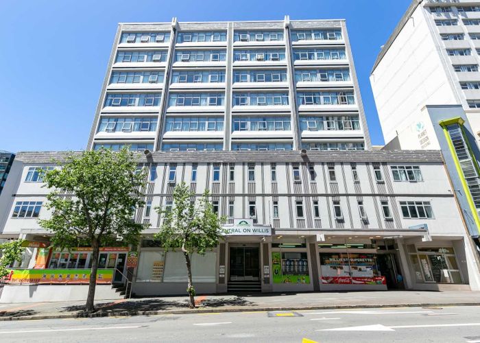  at 219 Willis Street, Te Aro, Wellington, Wellington