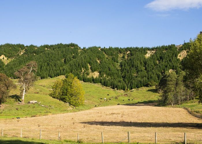  at 0 Ormond Valley Road, Ormond, Gisborne, Gisborne