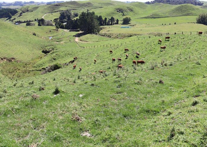  at 102 Manu Road, Stratford East, Stratford, Taranaki