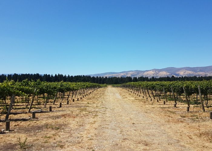  at 351 Maori Point Road, Tarras, Central Otago, Otago