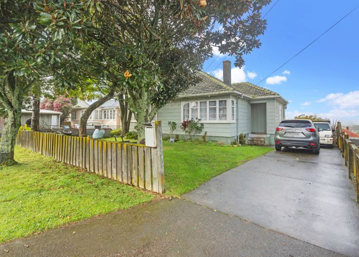  at 20 Court Crescent, Panmure, Auckland City, Auckland