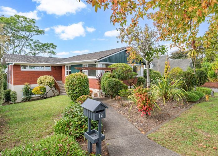  at 12 Alderton Place, Papakura, Papakura, Auckland