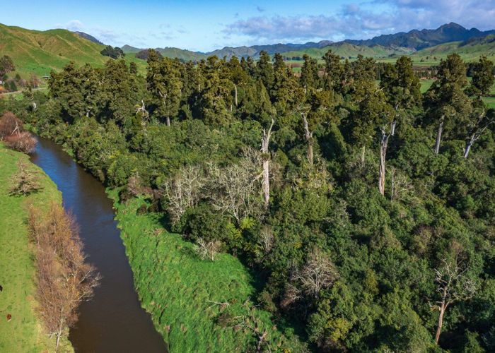 at 1318 Motu Road, Mōtū, Te Karaka
