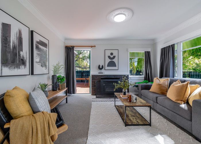  at 14 Napier Road, Terrace End, Palmerston North, Manawatu / Whanganui