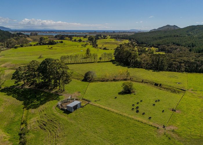  at 650 Sh25 Te Rerenga-Kuaotunu Road, Matarangi, Thames-Coromandel, Waikato