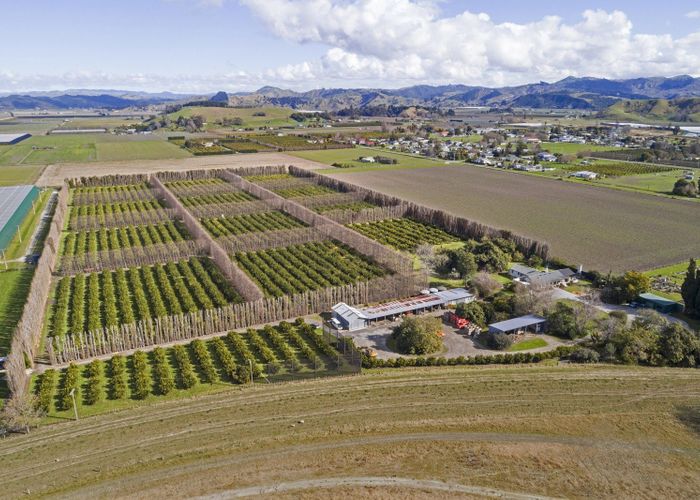  at 64 Cemetery Road, Patutahi, Gisborne, Gisborne